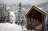 Holzbrücke, verschneite Bäume, Alpental, Snoqualmie Pass, Washington State