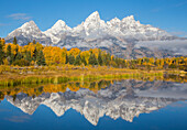 USA, Wyoming, Grand-Teton-Nationalpark. Frischer Schneefall bedeckt die Grand Teton Mountains an einem Herbstmorgen, der sich in den Gewässern der Schwabacher Landung widerspiegelt.