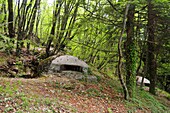 Bunker auf dem Dajiti-Berg über Tirana, Albanien