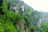 Rugova-Schlucht, Nordalbanische Alpen bei Peja, West-Kosovo