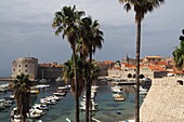 Alter Hafen von Dubrovnik vom Ploce Tor, Süd-Dalmatien, Kroatische Adriaküste, Kroatien