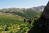 Wanderung im Galicica Nationalpark über dem Ohridsee, Nordmazedonien