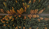 Waldbäume, die ihre Farbe von grün nach orange ändern, Snake Pass, Derbyshire, England, Luftbild