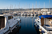 View of the port of Trieste. Trieste, Friuli Venezia Giulia, Italy, Europe
