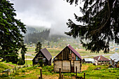 Traditional old wooden houses of Bakhmaro resort in georgian region Guria in foggy morning