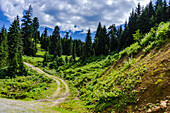 Feldweg in Berglandschaft im bekannten Erholungsgebiet der Region Guria im westlichen Teil von Georgien