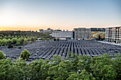 View from above of Holocaust Memorial, Memorial to the Murdered Jews of Europe, field of stelae, sunset, Berlin-Mitte, Germany