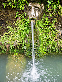 Italien, Latium, Tivoli, Villa d'Este. Eine Maske der Hundert Brunnen.