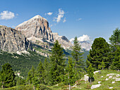 Tofana de Rozes in the Dolomites of Cortina d'Ampezzo. Part of the UNESCO World Heritage Site the Dolomites. Italy