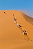 Africa, Namibia, Namib Desert, Namib-Naukluft National Park, Sossusvlei, Dune 45. Tourists beginning the climb up Dune 45 in a windstorm.