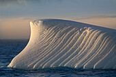 Antarktis, Insel Südgeorgien, Coopers Bay. Eisberg bei Sonnenaufgang