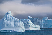 Antarctica, South Georgia Island, Coopers Bay. Icebergs at sunrise