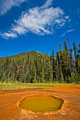 Canada, British Columbia, Kootenay National Park. Iron-rich Paint Pots mineral springs stain ground