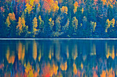 Canada, New Brunswick, Mactaquac. Autumn forest reflections on St. John River.