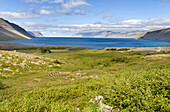 Landschaft in der Nähe des Arnarfjördur-Fjords. Die abgelegenen Westfjorde (Vestfirdir) im Nordwesten Islands.