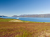 Agriculture and sheep farming near Itilleq in South Greenland at the shore of Eiriksfjord.