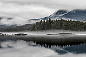 USA, Alaska, Tongass National Forest. Reflections in Mirror Harbor