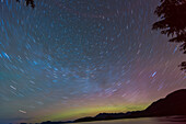 USA, AK, Ketchikan. Nordlichter leuchten am Horizont mit Sternspuren, die sich um den Nordstern drehen. Siedler Cove State Park.