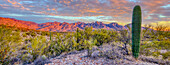 USA, Arizona, Catalina. Panoramablick auf den Sonnenuntergang in der Wüste und den Catalina Mountains.
