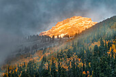 Herbst Espen, Nebel und Berghang bei Sonnenaufgang, vom Million Dollar Highway in der Nähe von Crystal Lake, Ouray, Colorado
