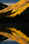 Fallen Sie Espen, die sich bei Sonnenaufgang am Crystal Lake widerspiegeln, in der Nähe von Ouray, Colorado