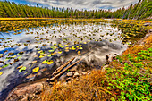 Beartooth-Berge, Montana