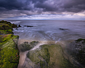 USA, New Jersey, Cape May National Seashore. Storm waves and moss-covered rocks.