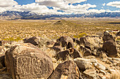 USA, New Mexico, Three Rivers Petroglyph Site. Petroglyphen auf Felsbrocken und schneebedeckten Sacramento Mountains