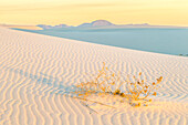 USA, New Mexico, White Sands National Park. Sand dunes at sunrise