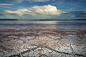 Geometric patterns in drying mud, Alvord Lake, a seasonal shallow alkali lake in Harney County, Oregon