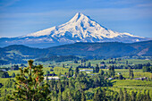 Hood River, Oregon. Snow capped Mount Hood dominates over the green valley, farms, and orchards