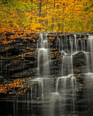 USA, Pennsylvania, Ricketts-Glen-Staatspark. Herbstwald und Wasserfälle, die über Felsen kaskadieren.