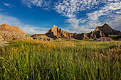 Yellow coneflowers in Badlands National Park, South Dakota, USA (Large format sizes available)