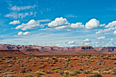 USA, Utah, Bluff, Valley of The Gods, Panorama, Bears Ears National Monument
