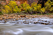 USA, Utah. Zion National Park, Herbstfarben, Wasser