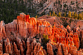 Bryce-Canyon-Nationalpark Utah, USA.