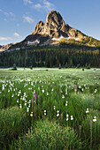 Liberty Bell Mountain seen from meadows of Washington Pass, North Cascades, Washington State