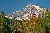Mount Rainier from Longmire, Mount Rainier National Park, Washington State, USA