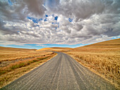 USA, Staat Washington, Palouse. Country Backroad durch Erntefelder