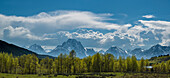Panoramic of cottonwood trees and cumulus clouds in spring, Grand Teton National Park, Wyoming