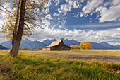 T.A. Moulton Barn, Mormon Row, Grand Teton National Park, Wyoming, USA