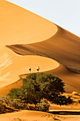 Afrika, Namibia, Namib-Wüste, Namib-Naukluft-Nationalpark, Sossusvlei. Zwei Touristen erklimmen die malerische Düne.