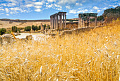 Roman Ruins Temple of Juno Caelestis, 3rd Century b.C., Dougga Archaeological Site, UNESCO World Heritage Site, Tunisia, North Africa