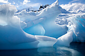 Antarktis, Paradiesbucht, Eisberg