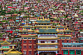 Seda Larung Wuming, das weltweit größte tibetisch-buddhistische Institut, Tempel mit roten Blockhütten, die von Mönchen und Nonnen bewohnt werden und den Berghang bedecken, Garze, Provinz Sichuan, China