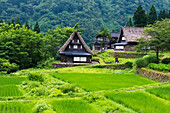 Gassho-zukuri-Häuser in den Bergen, Dorf Ainokura, Gokayama, Präfektur Toyama, Japan