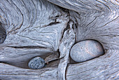 Canada, Ontario, Marathon. Rocks in driftwood on Pebble Beach.