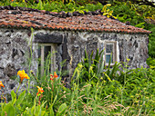 Faja do Ouvidor. Die Insel Sao Jorge auf den Azoren, eine autonome Region Portugals.