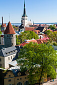 Medieval town walls and spire of St. Olav's church, view of Tallinn from Toompea hill, Old Town of Tallinn, UNESCO World Heritage Site, Estonia, Baltic States, Europe