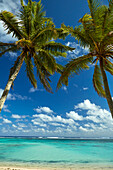 Kokospalmen und Strand, Bezirk Takitimu, Rarotonga, Cookinseln, Südpazifik